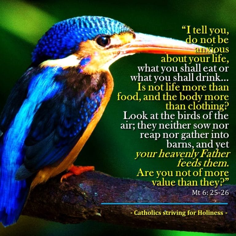 On-Anxieties-and-Worries