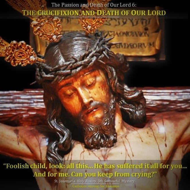 The-passion-of-our-lord-jesus-6-the-crucifixion - Catholics Striving ...