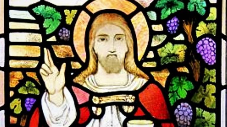 DAILY GOSPEL COMMENTARY: "REMAIN IN ME AS I REMAIN IN YOU" (Jn 15:1-8). 7 I am the vine