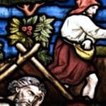 pope francis 15th sunday year a