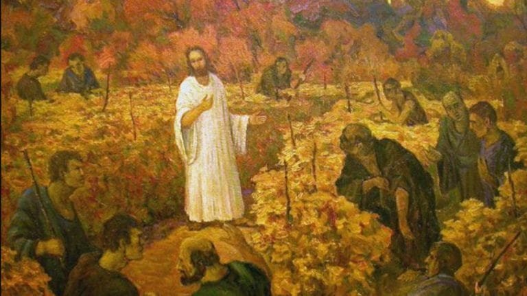 Pope Francis 25th Sunday year A