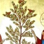 mustard seed