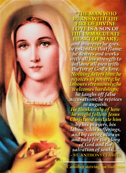 Immaculateheartofmary Catholics Striving For Holiness