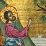 DAILY GOSPEL COMMENTARY. THE PARABLE OF THE BARREN FIG TREE (Lk 13:1โ9). 10 3rd sunday of lent year C HOLY TUESDAY