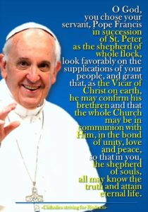 love-for-the-pope 4