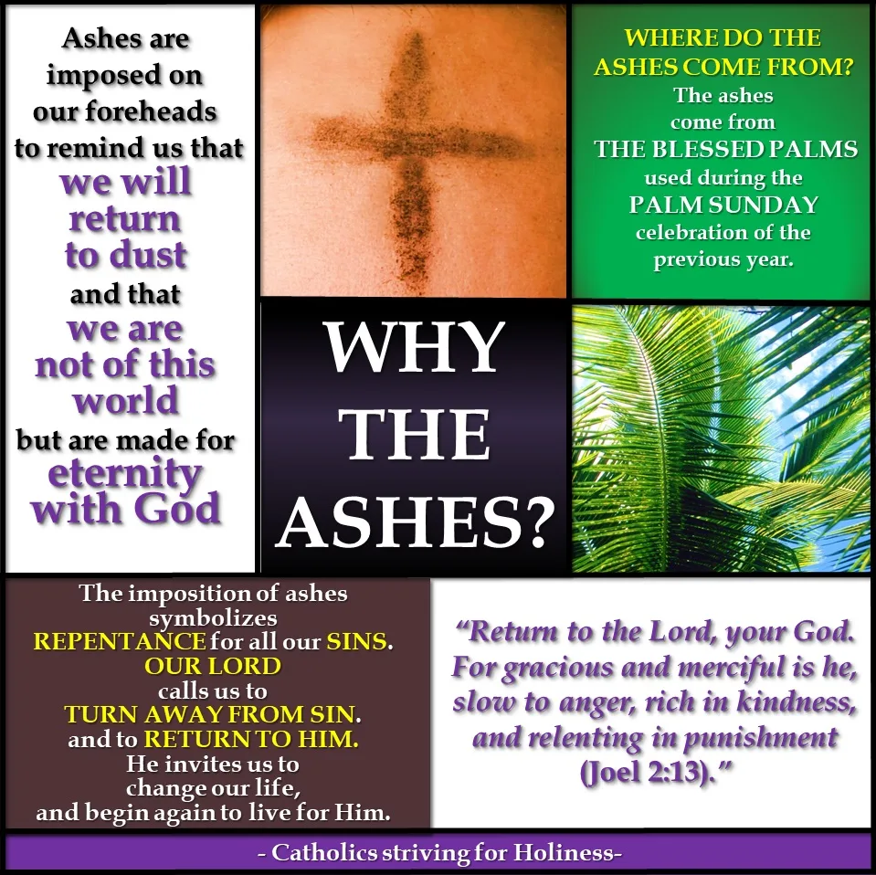 Ash Wednesday Why The Ashes What Does The Imposition Of Ashes Mean Catholics Striving For