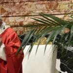 palm sunday homily year a