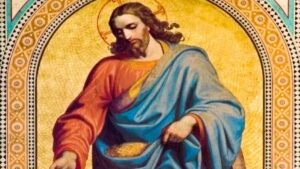 15th sunday in ordinary time year a homily