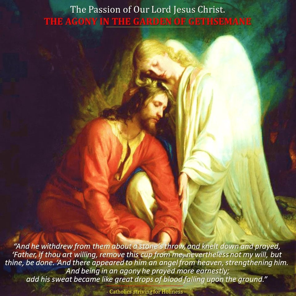 The Passion of Our Lord Jesus Christ 1. THE AGONY IN THE GARDEN. 1