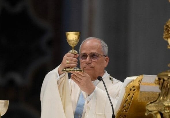 Leo XIV Mother of the Church