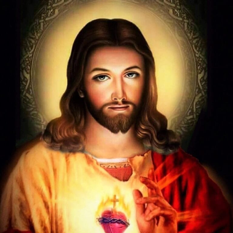 13th sunday c homily