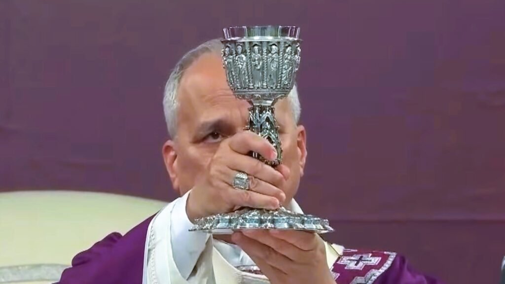 POPE LEO XIV ON NOVEMBER 2 ALL SOULS' DAY 1 Leo XIV All Souls day